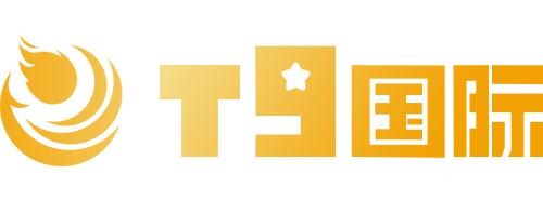 T9 国际